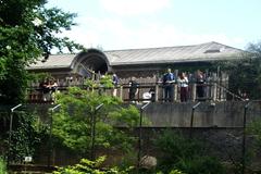 people watching warthogs in London Zoo from Regent's Canal