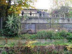 Visitors to London Zoo watching a warthog