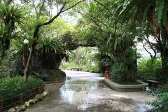 Concrete paving slabs in Taipei Zoo, Wenshan District, Taipei, Taiwan