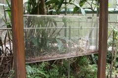 Insectarium at Taipei Zoo in Wenshan District, Taipei, Taiwan