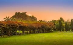 Calm sunset in City Park, Greater Noida, India