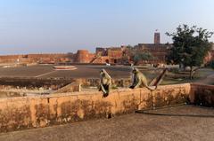 Jaigarh Fort in Jaipur