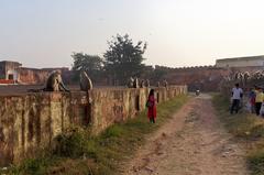 Tourists walking among northern plains gray langurs on a road at Fort Jaigarh