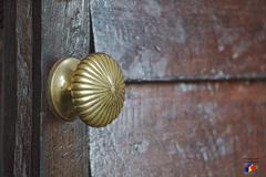 Brass door knob close-up