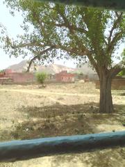 Oasis near Alwar and Jaipur railway tracks