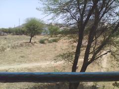 Oasis near Alwar