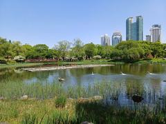 Boramae Park pond with trees and skyscrapers in Seoul