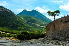 scenic view of a sky, tree, and mountain landscape