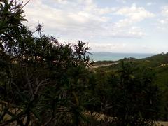 Boukornine mountain in Tunisia near Hammam Lif