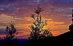 Sunset in Boukornine National Park