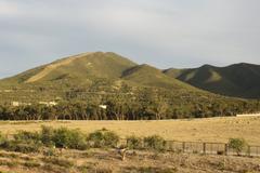 Boukornine National Park with dense greenery and a mountain range in the background