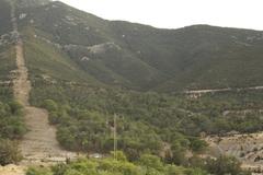 Boukornine National Park landscape with vegetation and mountainous background