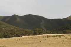 Boukornine National Park landscape