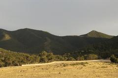 Boukornine National Park panorama