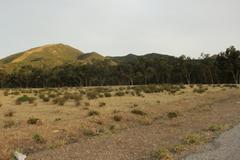 Boukornine National Park landscape with lush greenery and mountains