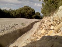 Mont Boukornine in Tunisia with dense forest and clear blue sky