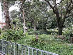 Alligator habitat at Busch Gardens Tampa Bay