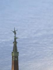 Brussels city view in winter with historical buildings and a Christmas tree