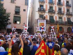 Diada Nacional de Catalunya 2017 Falconers performing at Fossar de les Moreres