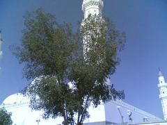 Masjid Qiba mosque panoramic view