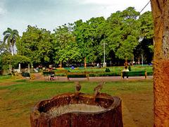 various birds in Sayagi Baug garden