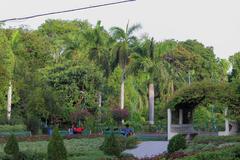 Sayaji Garden in Vadodara on a sunny day with lush green lawns and well-maintained pathways