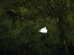 Dzitnup cenote with natural light streaming through the opening