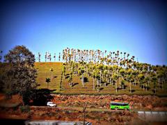 Conoor Nilgiris India scenic view