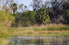 Santa Ana National Wildlife Refuge