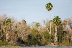 Santa Ana National Wildlife Refuge landscape