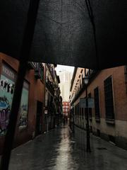 people walking with umbrellas in a city on a rainy day