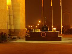 Closeup shot of Amar Jawan Jyoti at India Gate, New Delhi