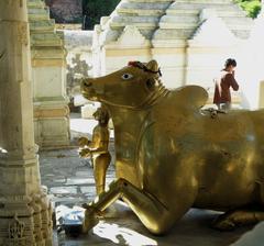 Statue of Nandi the bull at Achalgarh Temple