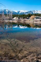 View of Dorothy Lake looking west towards snow-capped mountains in 2011