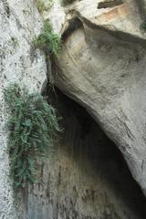 Ear of Dionysios in Neapolis Archaeological Park, Syracuse