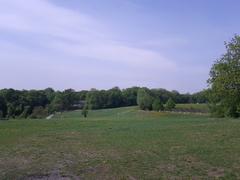 Am Himmel, beim Lebensbaumkreis panorama