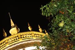 dome of Instituto Cultural Cabañas in Guadalajara illuminated at night