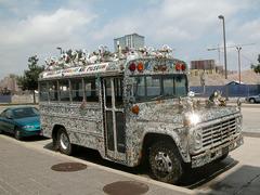 American Visionary Art Museum art car 2004