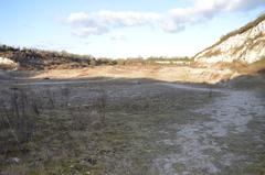 East Pit disused chalk quarry