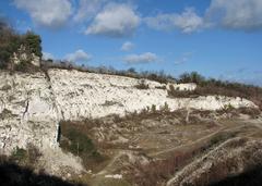 East Pit Nature Reserve quarry face