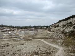 East Pit Nature Reserve in March