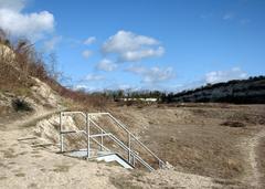 East Pit Nature Reserve on St David's Day