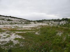 East Pit vegetation advancing