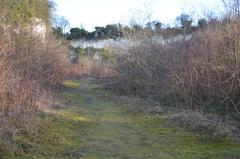 East Pit disused chalk quarry south of Cambridge