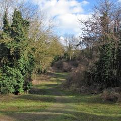 Lime Kiln Close Local Nature Reserve