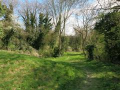 Lime Kiln Close nature reserve