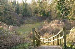 Limekiln Close disused chalk quarry