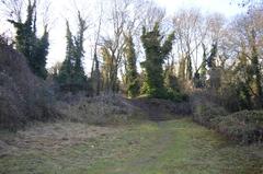 disused chalk quarry in Limekiln Close, south of Cambridge