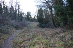 Limekiln Close disused chalk quarry south of Cambridge