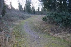 Limekiln Close disused chalk quarry Cambridge